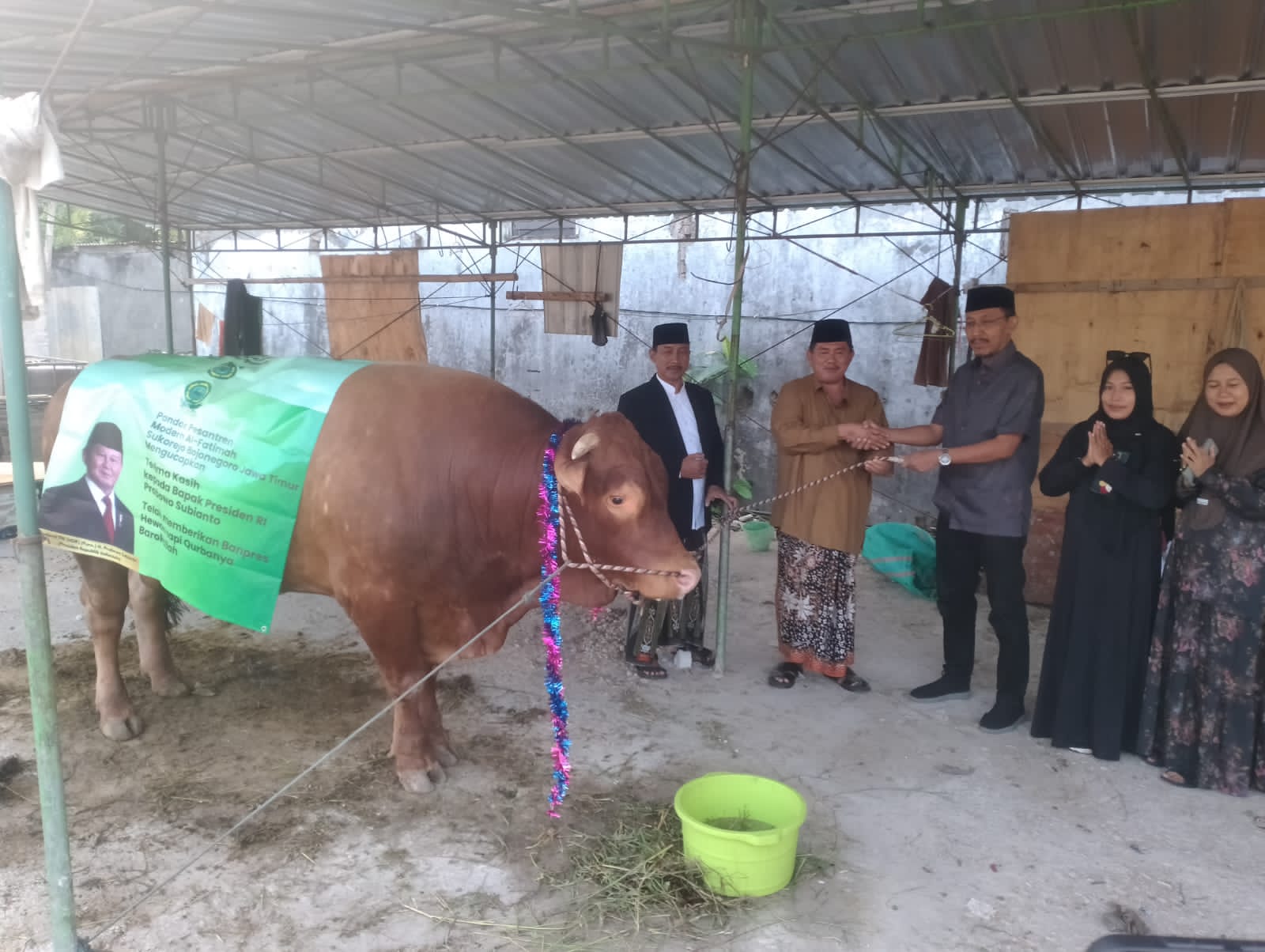 Sapi presiden prabowo.