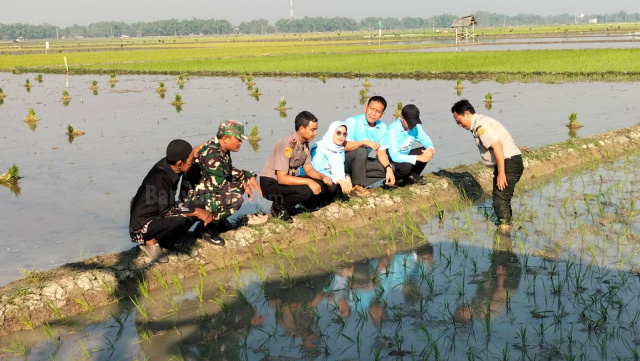 Bupati Setyo