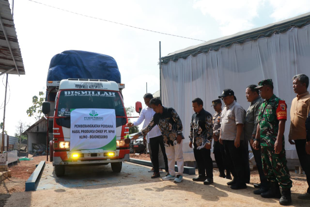 Pelepasan hasil porang