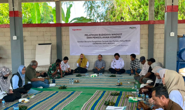 Budi daya magot