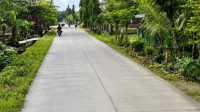 Jalan Purwosari-Tambakrejo akan dibangun