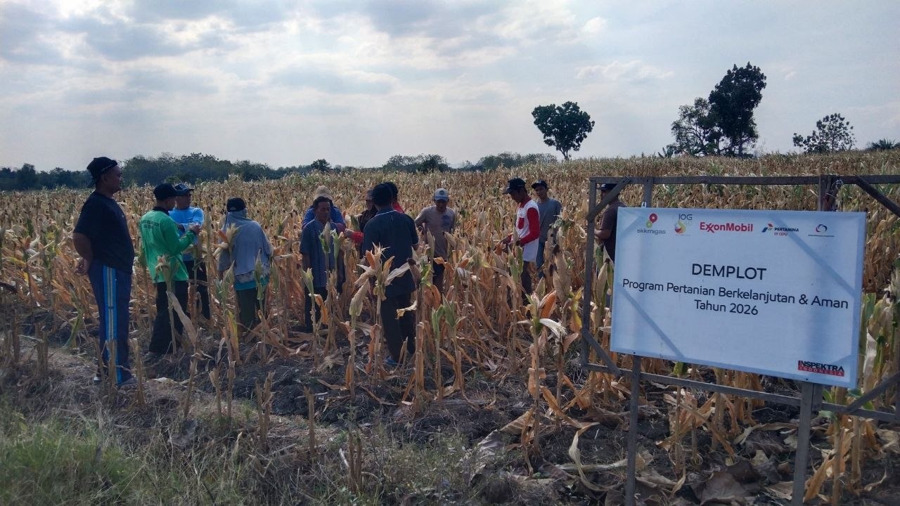 Petani jagung.