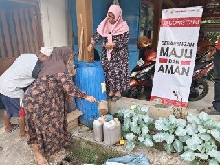 Petani jagung bojonegoro.