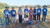 Partai Demokrat