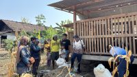 Pembuatan pupuk kandang