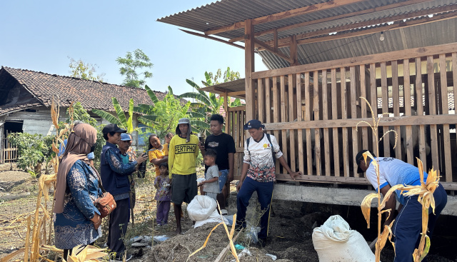 Pembuatan pupuk kandang