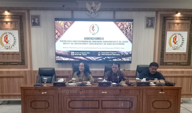Ketua Komisi B Sally Atyasasmi,