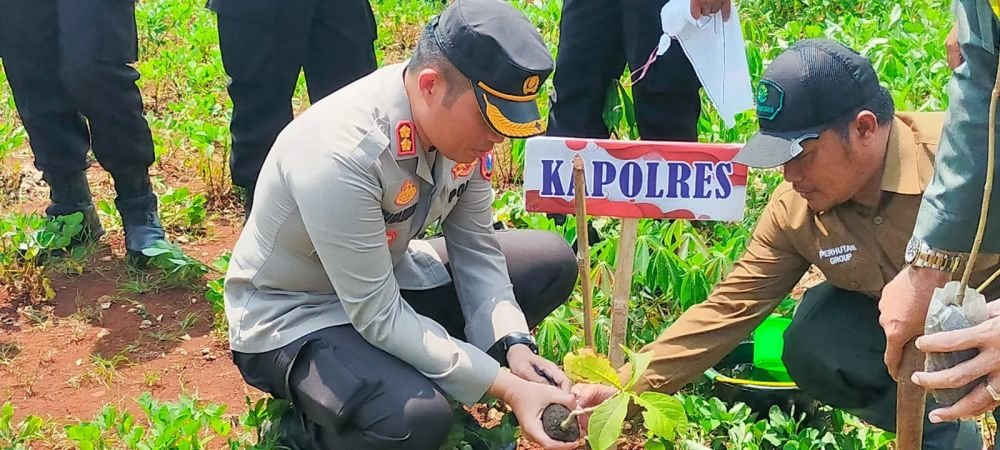 Perhutani tanam pohon © 2022 suarabanyuurip.com
